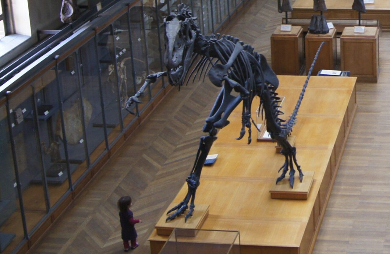 Natural History Museum Abu Dhabi