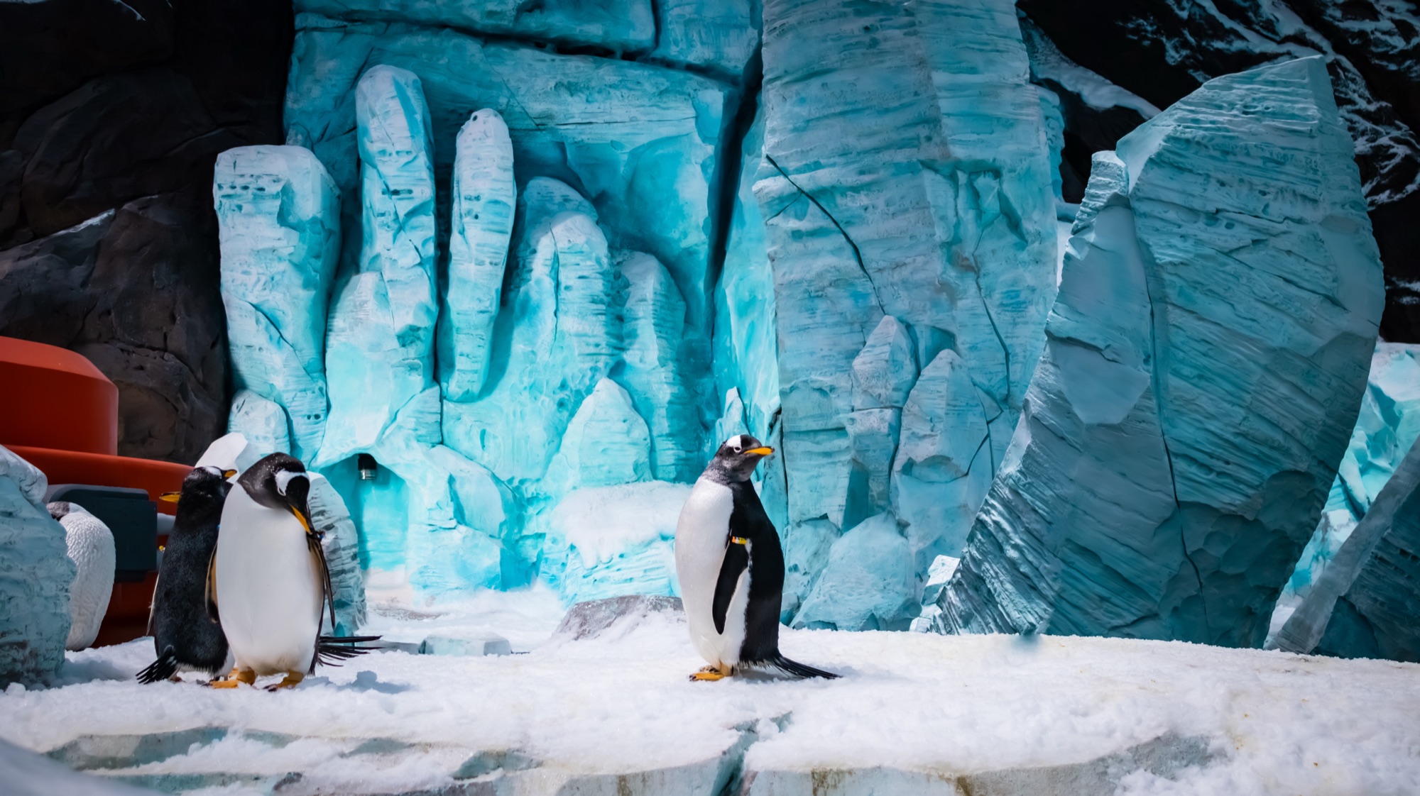SeaWorld Abu Dhabi