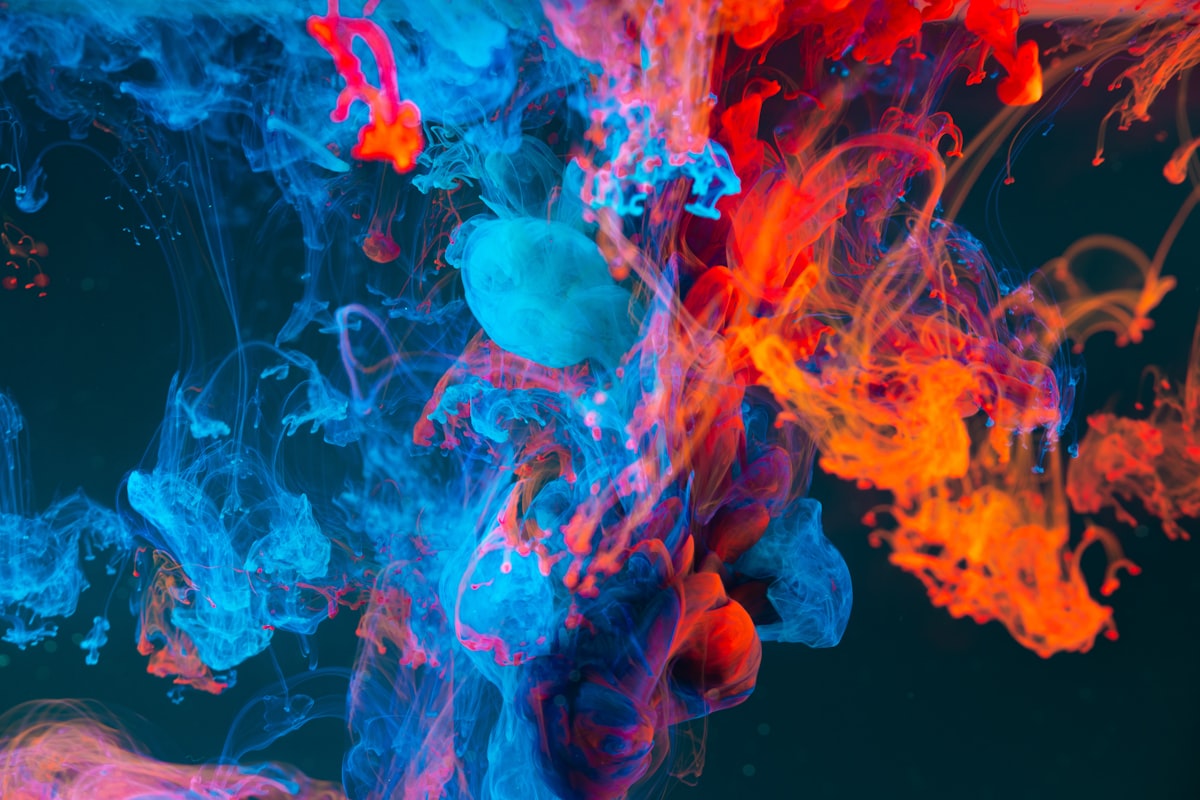 TeamLab Phenomena Abu Dhabi
